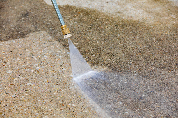 Best House Exterior Washing  in Blaine, TN